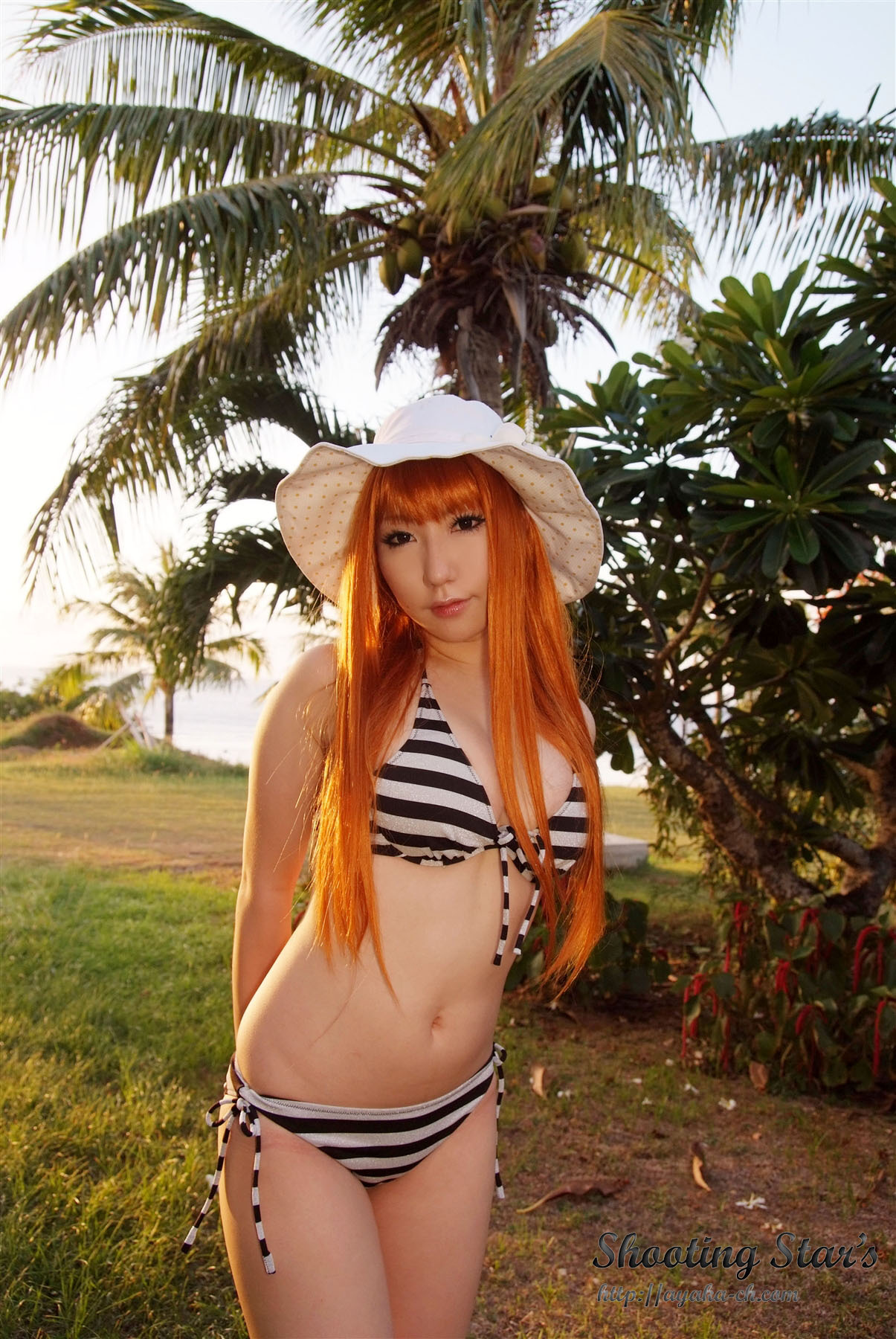 日本性感比尼写真 [Cosplay] Dead Or Alive (2)