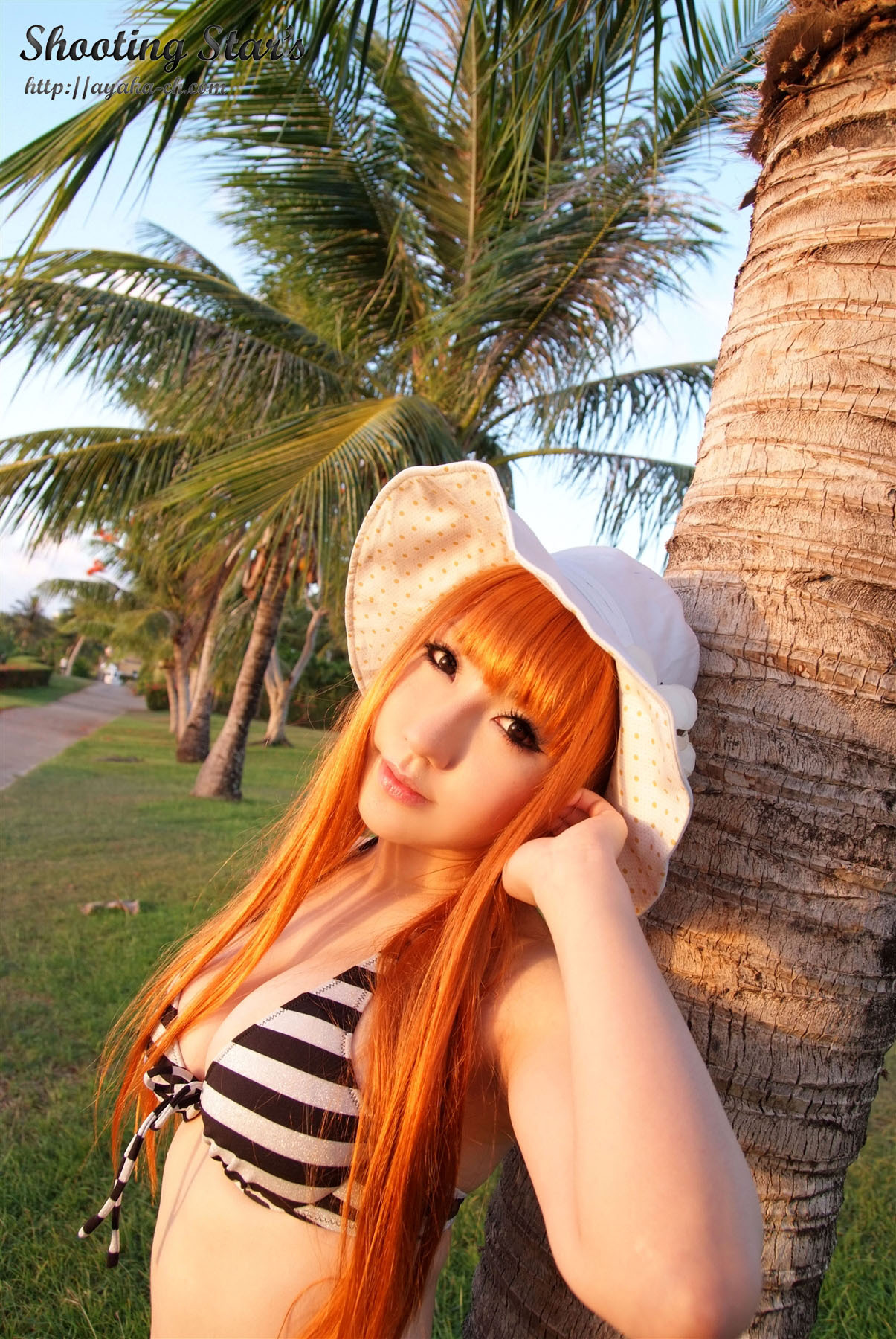 日本性感比尼写真 [Cosplay] Dead Or Alive (2)