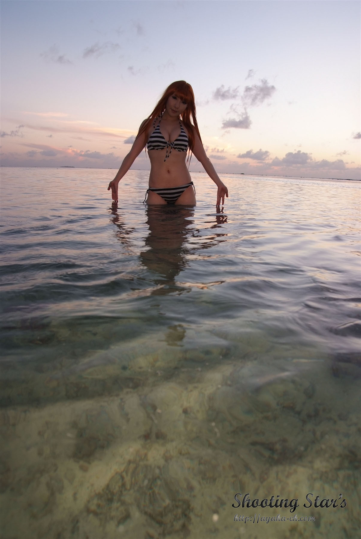 日本性感比尼写真 [Cosplay] Dead Or Alive (2)