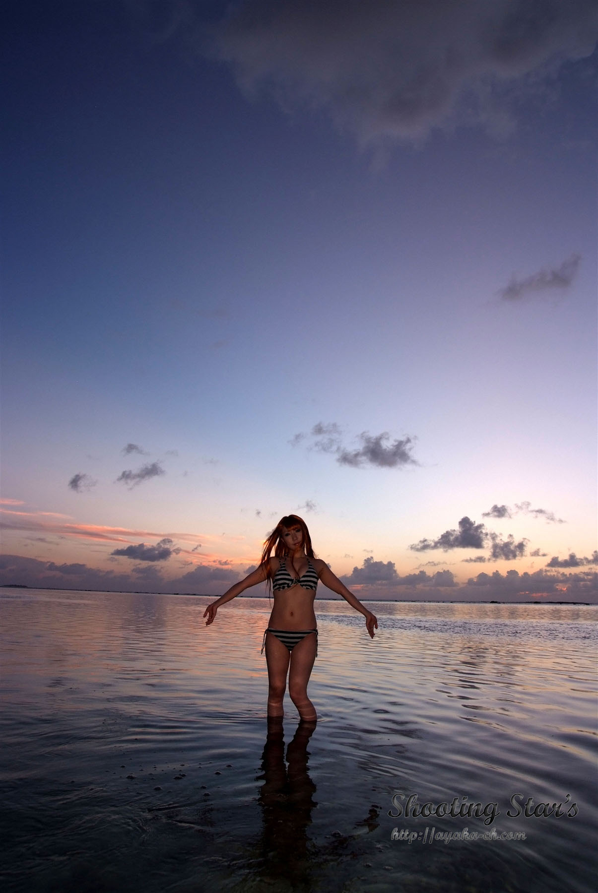 日本性感比尼写真 [Cosplay] Dead Or Alive (2)