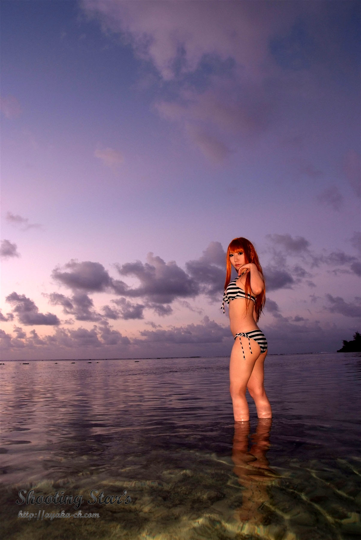 日本性感比尼写真 [Cosplay] Dead Or Alive (2)