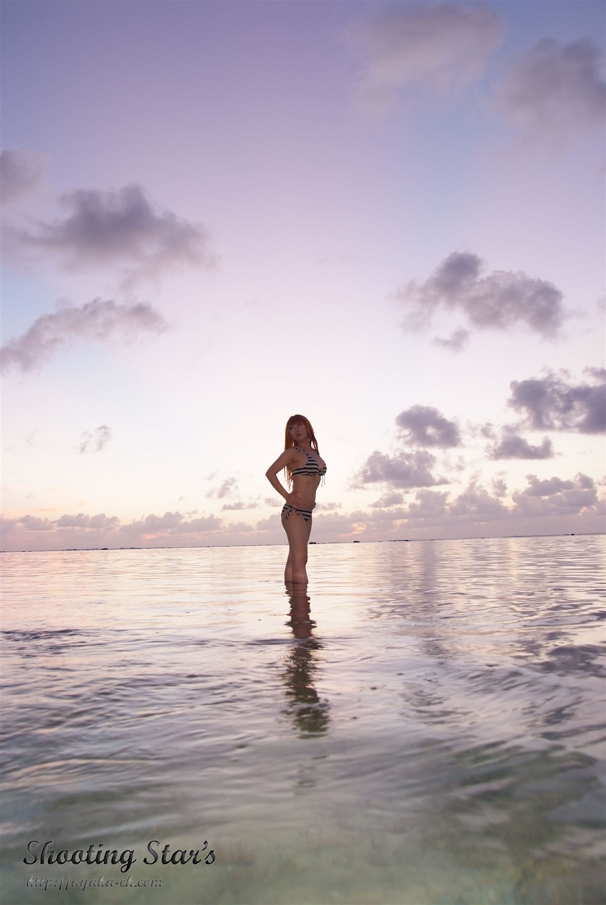 日本性感比尼写真 [Cosplay] Dead Or Alive (2)