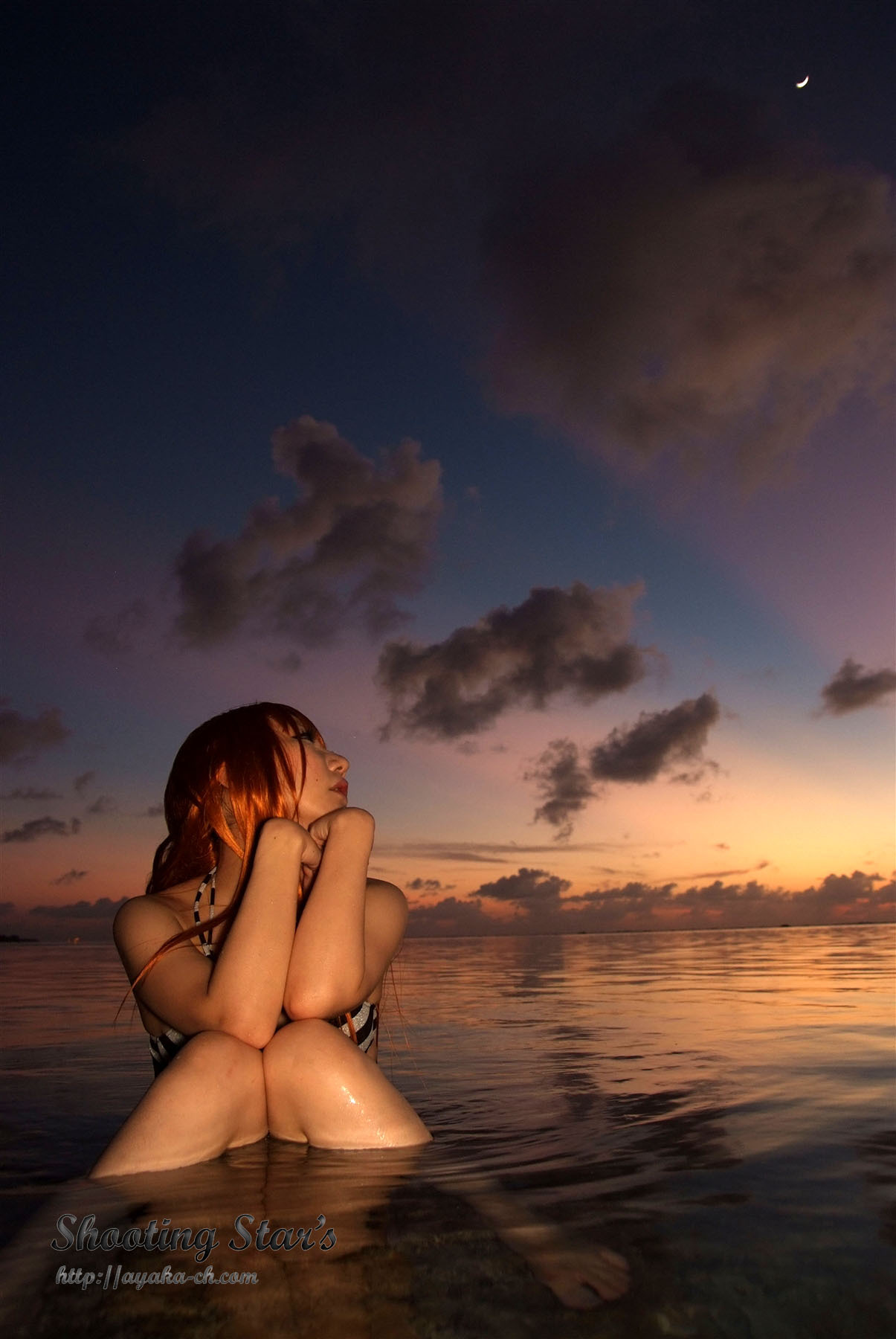 日本性感比尼写真 [Cosplay] Dead Or Alive (2)