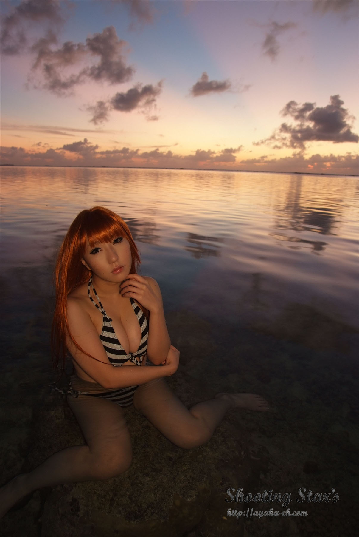 日本性感比尼写真 [Cosplay] Dead Or Alive (2)