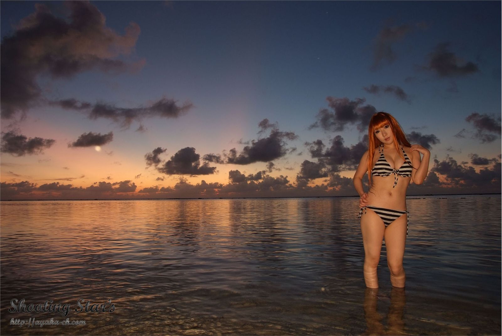 日本性感比尼写真 [Cosplay] Dead Or Alive (2)