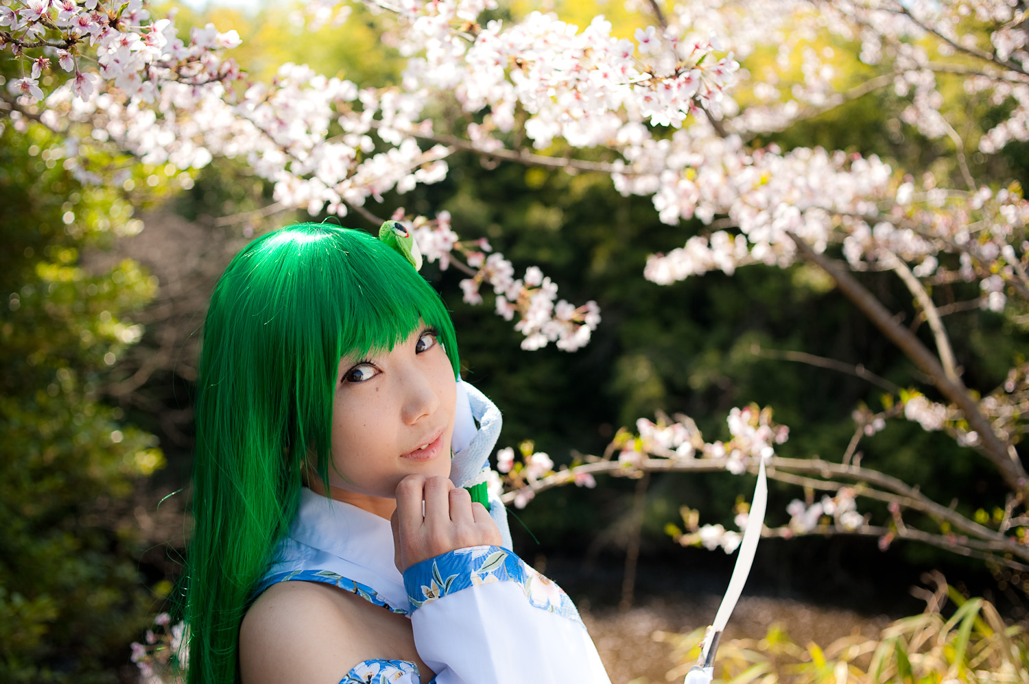 日本cosplay性感美女套图 fund