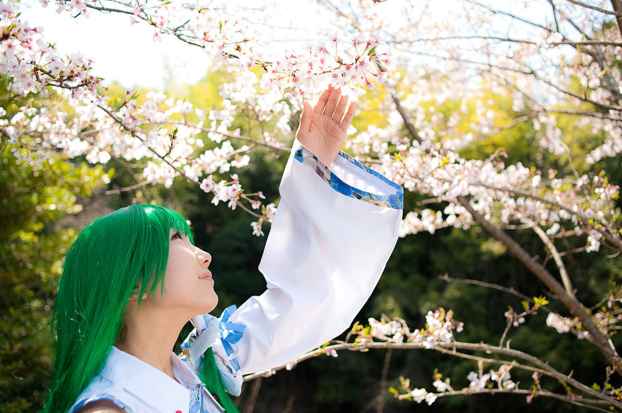 日本cosplay性感美女套图 fund