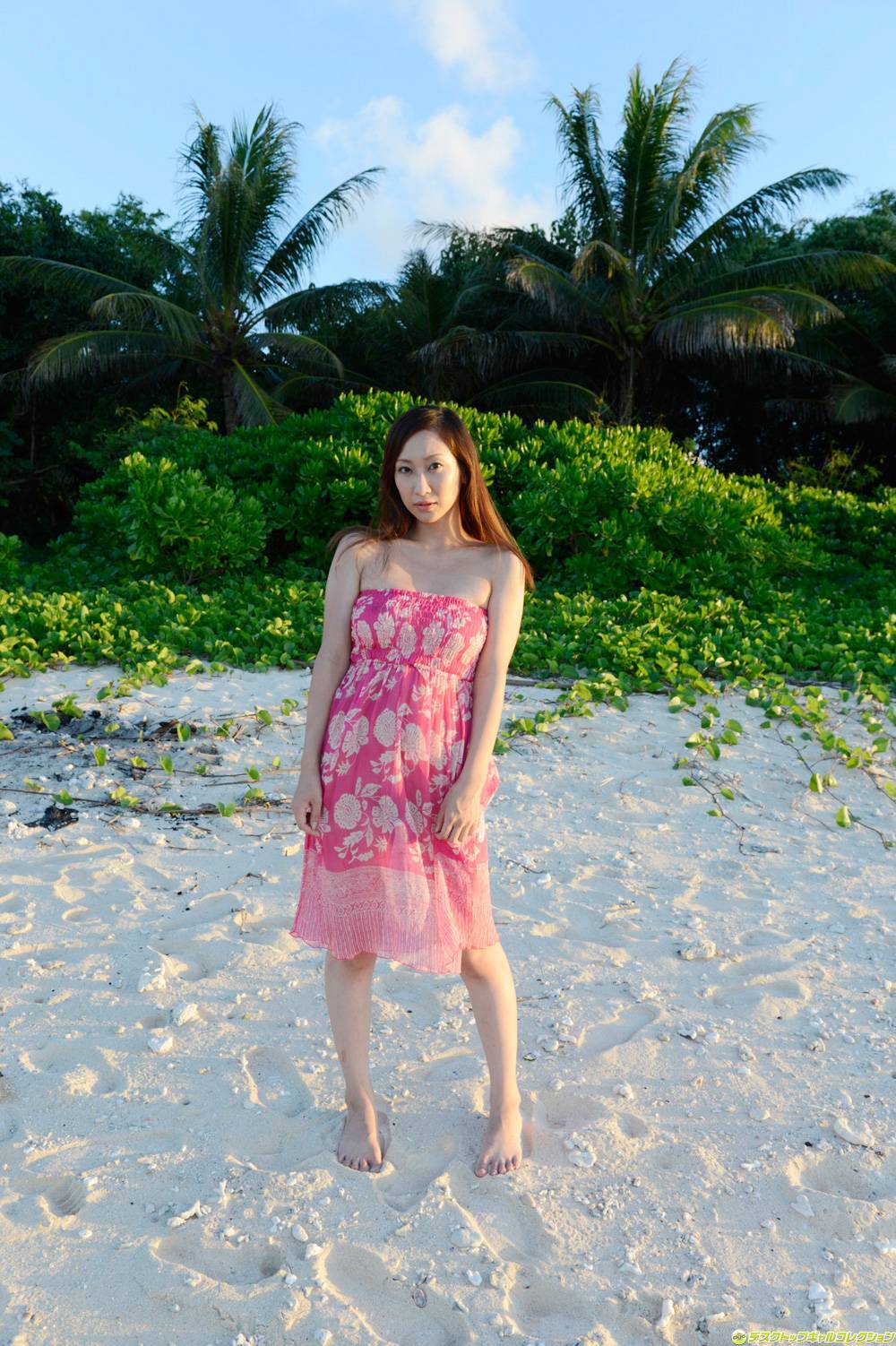 [DGC] 2014.02 No.1146 Miku Konno 紺野ミク