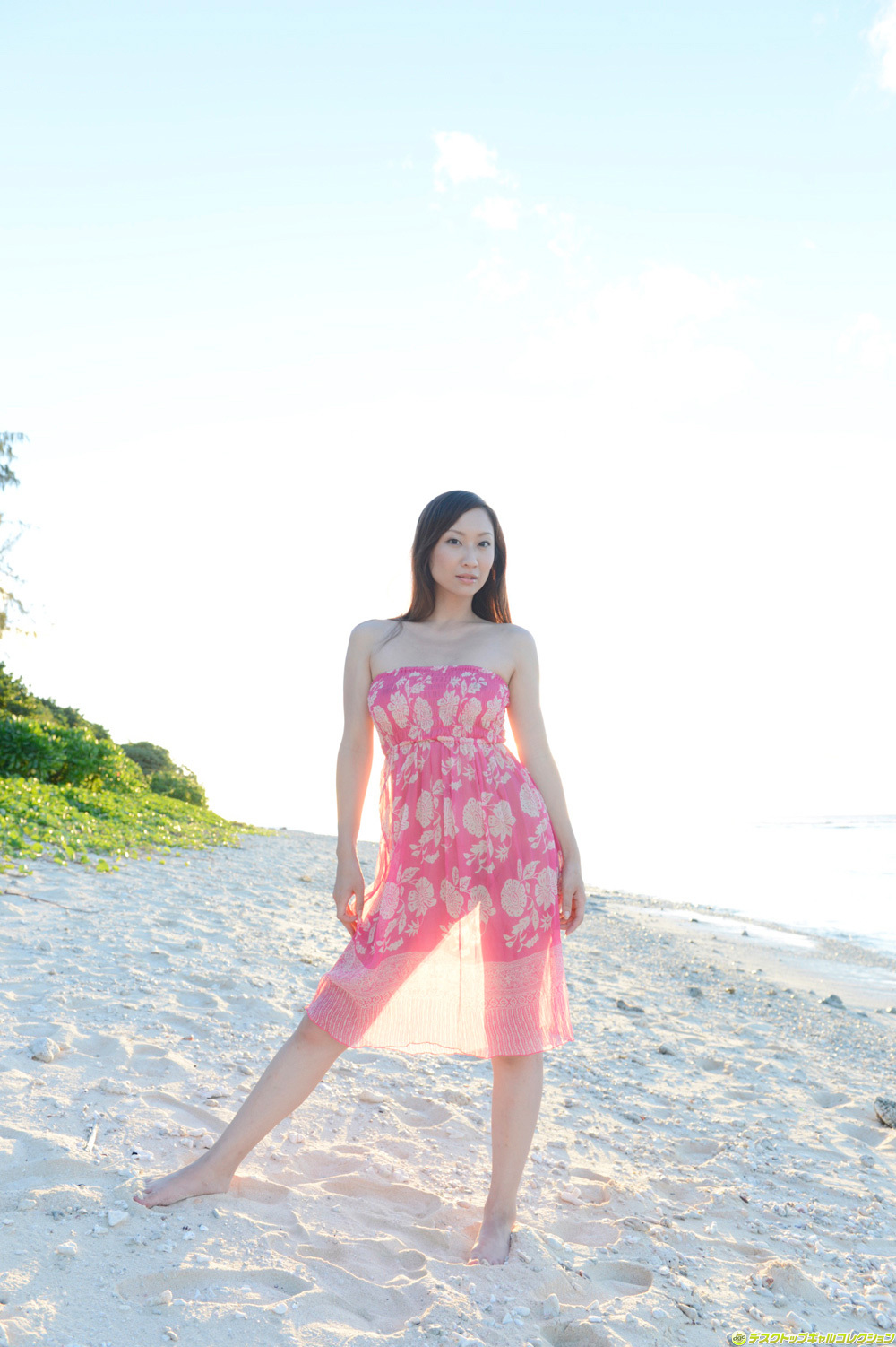 [DGC] 2014.02 No.1146 Miku Konno 紺野ミク