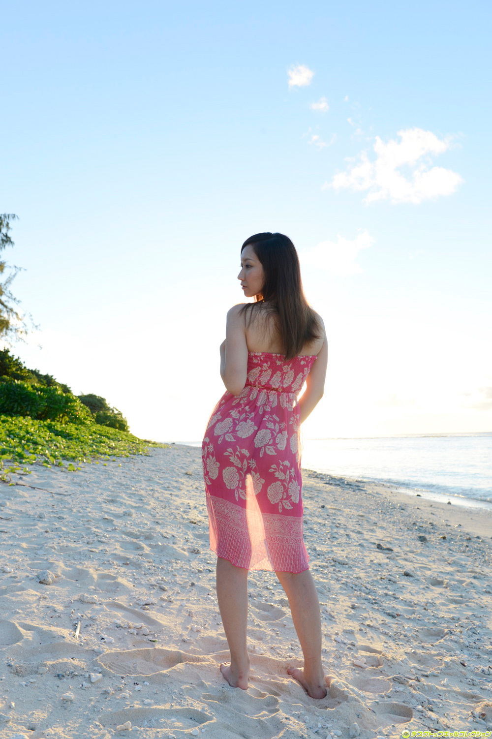 [DGC] 2014.02 No.1146 Miku Konno 紺野ミク