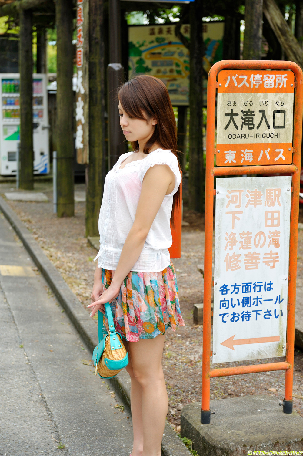 [DGC] 2014.02 No.1148 Shelly Fujii 藤井シェリー