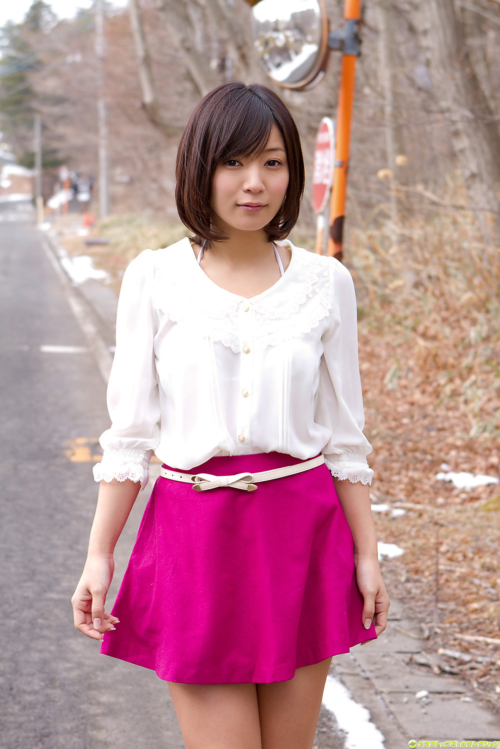 [DGC] 2014年04月号 No.1156 Ruri Shinato 階戸瑠李