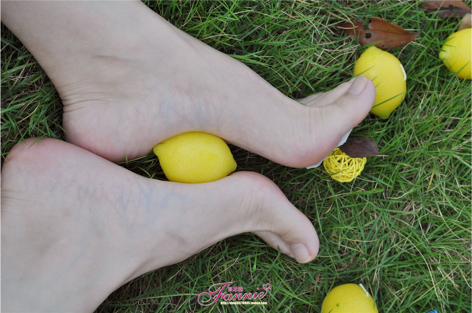 Fannie芬妮高清原图之2010中秋快乐（上）NO.008