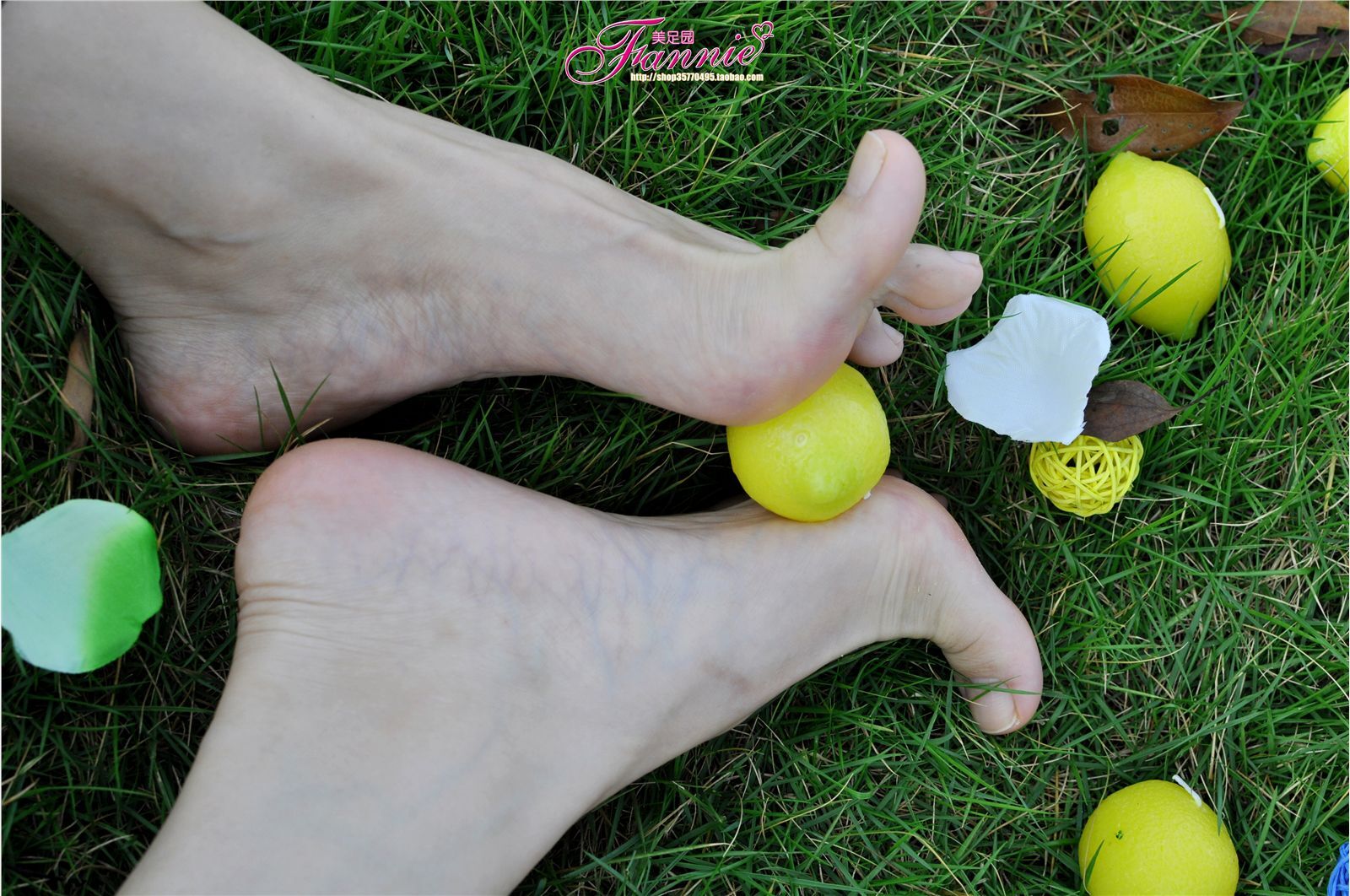 Fannie芬妮高清原图之2010中秋快乐（上）NO.008