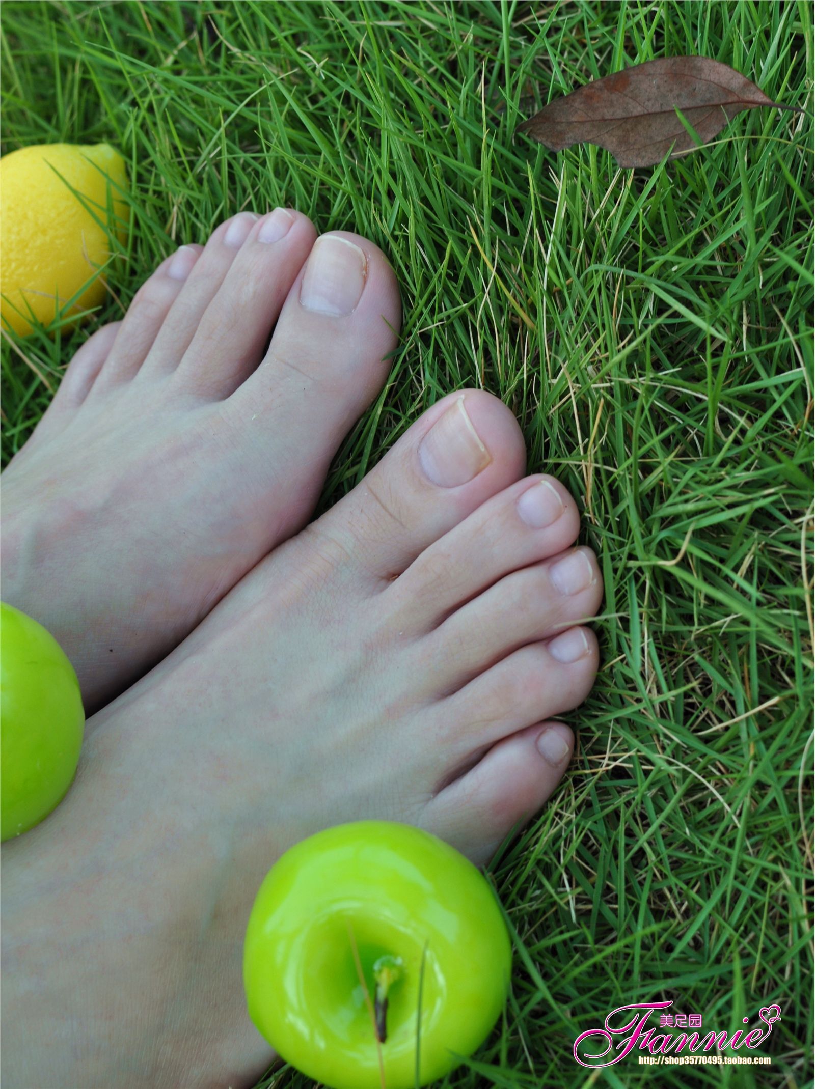 Fannie芬妮高清原图之2010中秋快乐（上）NO.008