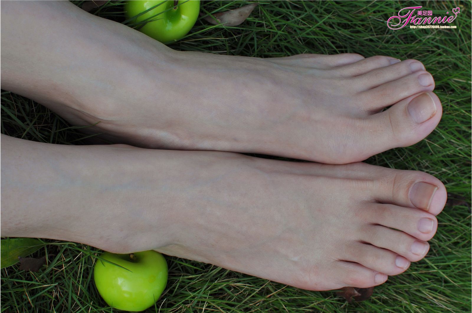 Fannie芬妮高清原图之2010中秋快乐（上）NO.008