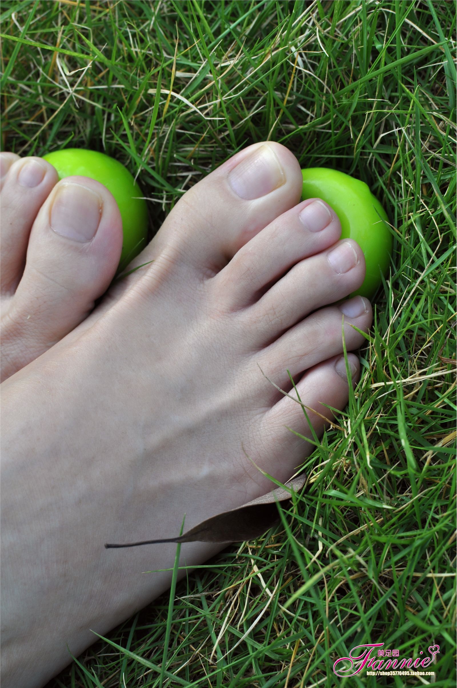 Fannie芬妮高清原图之2010中秋快乐（上）NO.008