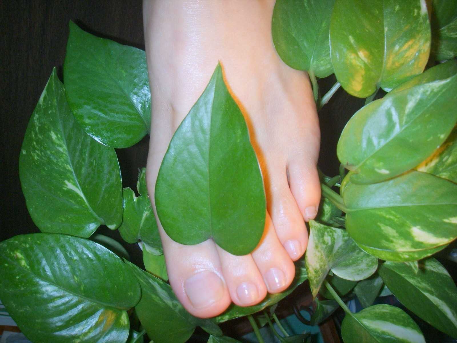 Fannie芬妮高清原图之无损压缩合集NO.021