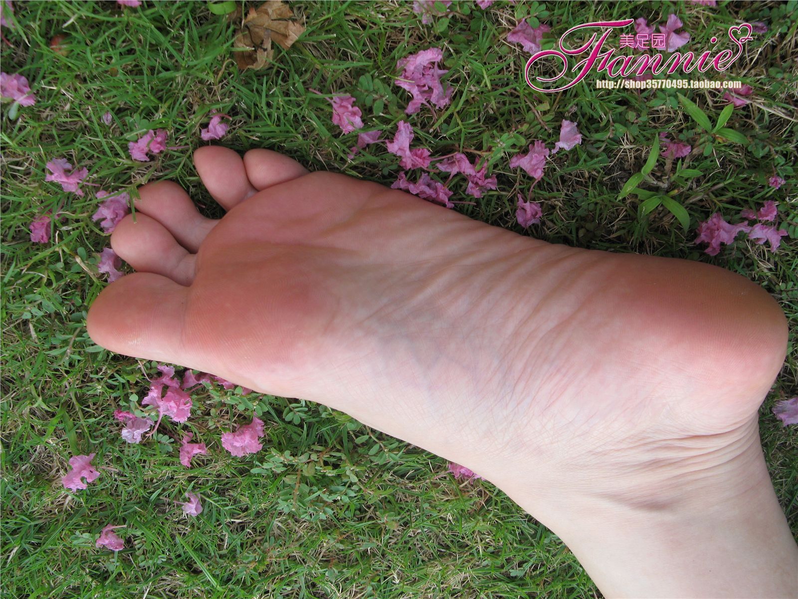 Fannie芬妮高清原图之沾花惹草NO.022