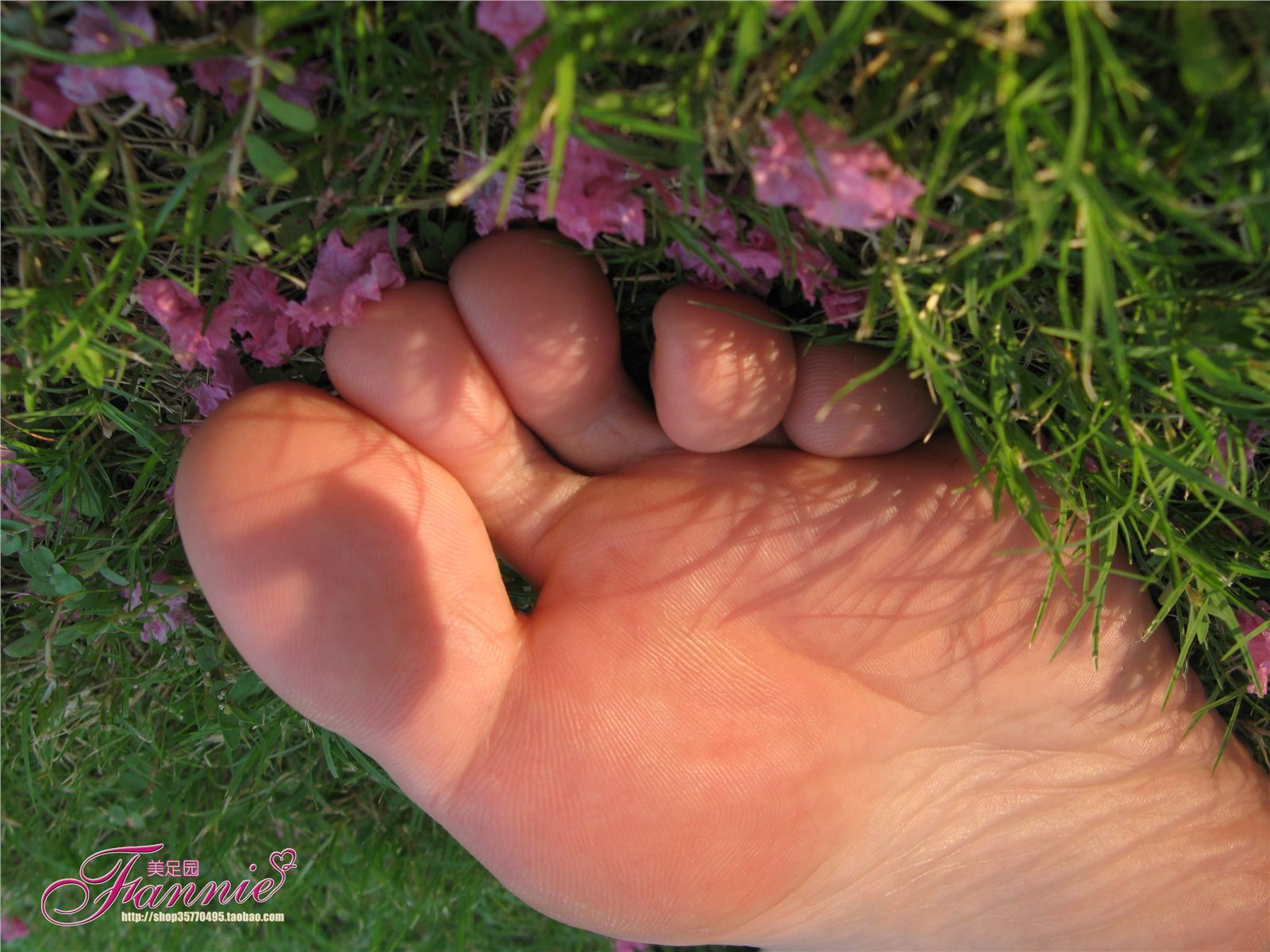 Fannie芬妮高清原图之沾花惹草NO.022