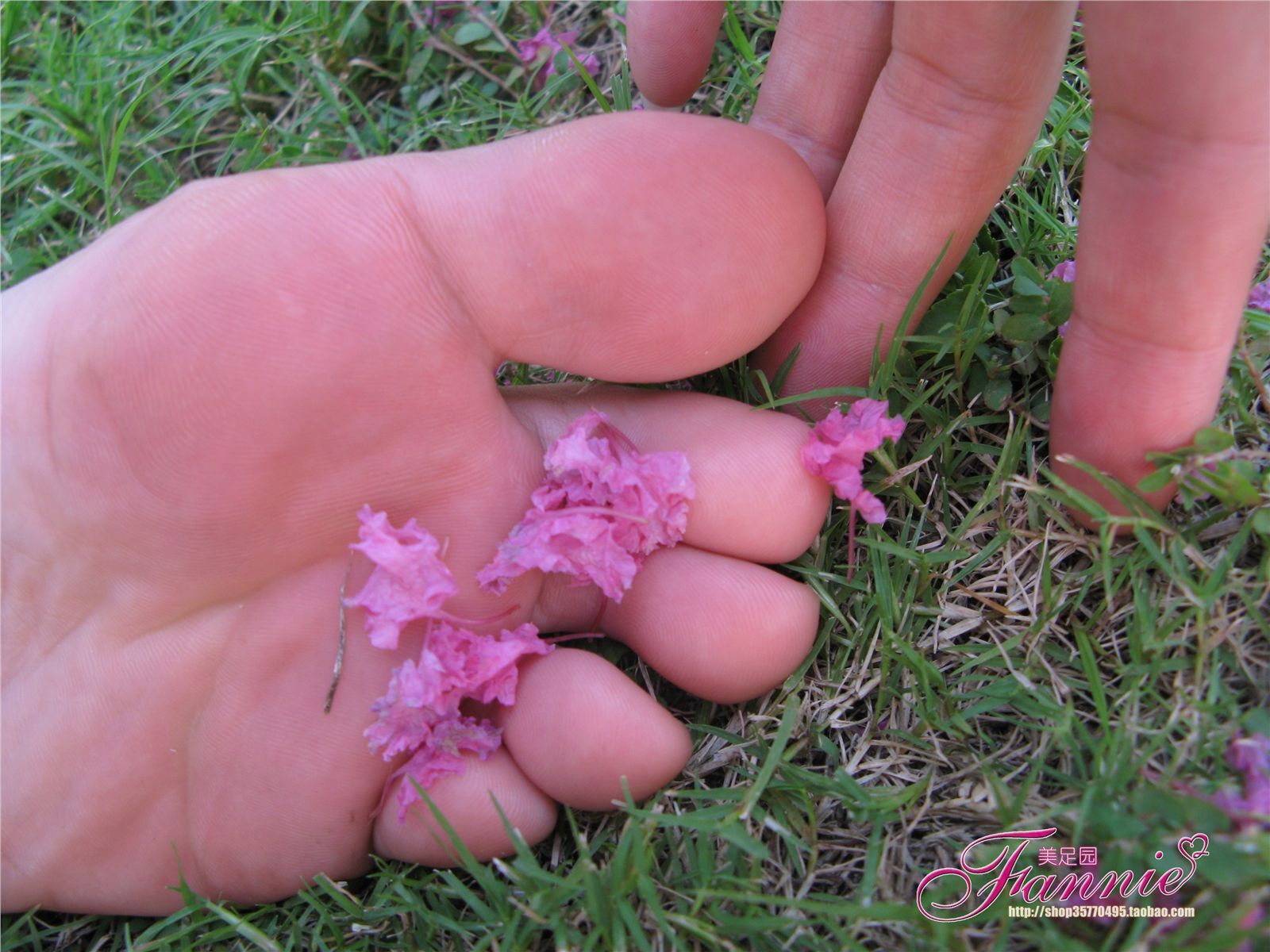 Fannie芬妮高清原图之沾花惹草NO.022