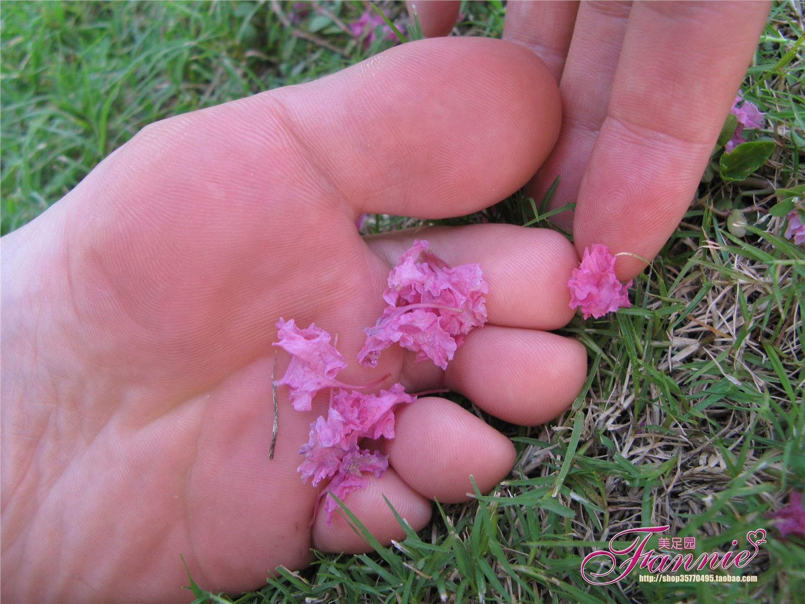 Fannie芬妮高清原图之沾花惹草NO.022