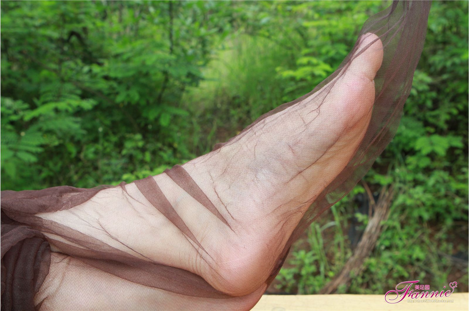Fannie芬妮高清原图之薄如蝉翼轻若烟（咖啡纯丝）NO.037