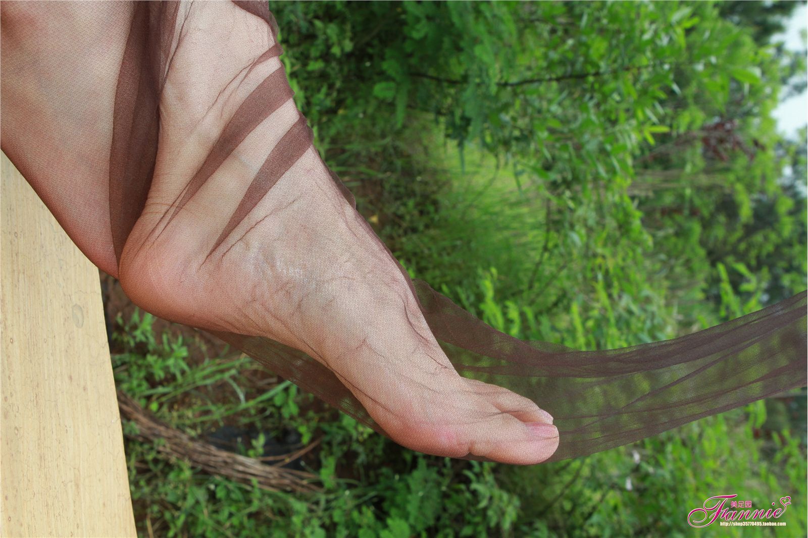 Fannie芬妮高清原图之薄如蝉翼轻若烟（咖啡纯丝）NO.037