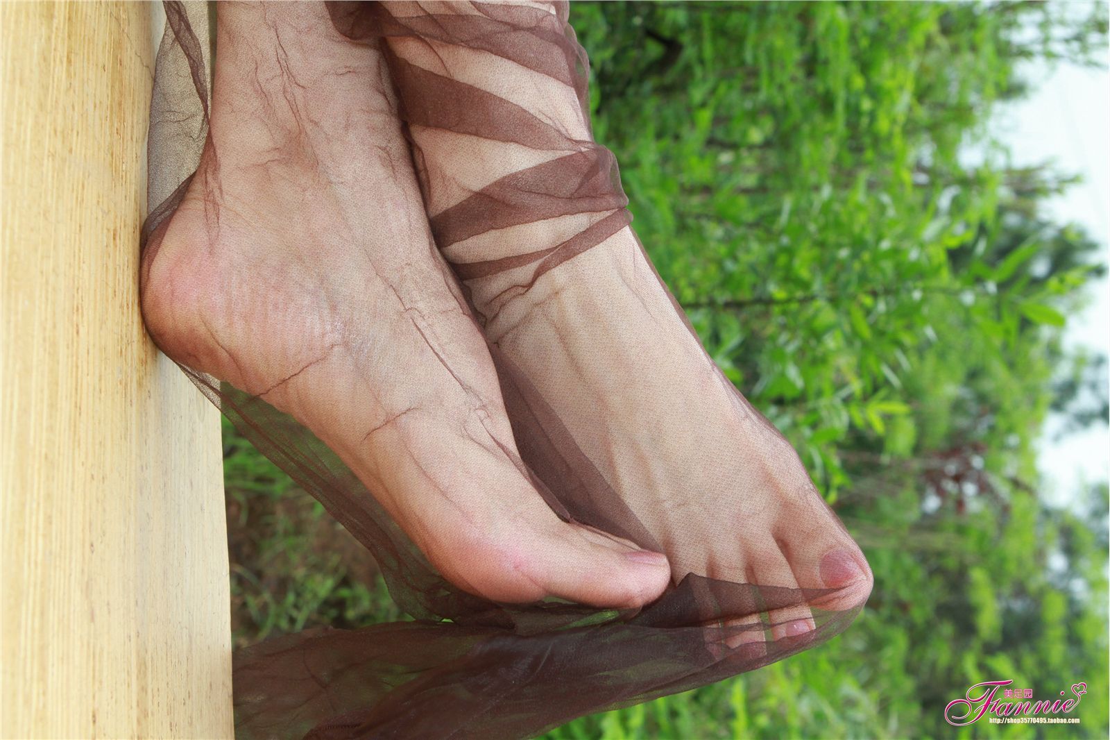 Fannie芬妮高清原图之薄如蝉翼轻若烟（咖啡纯丝）NO.037