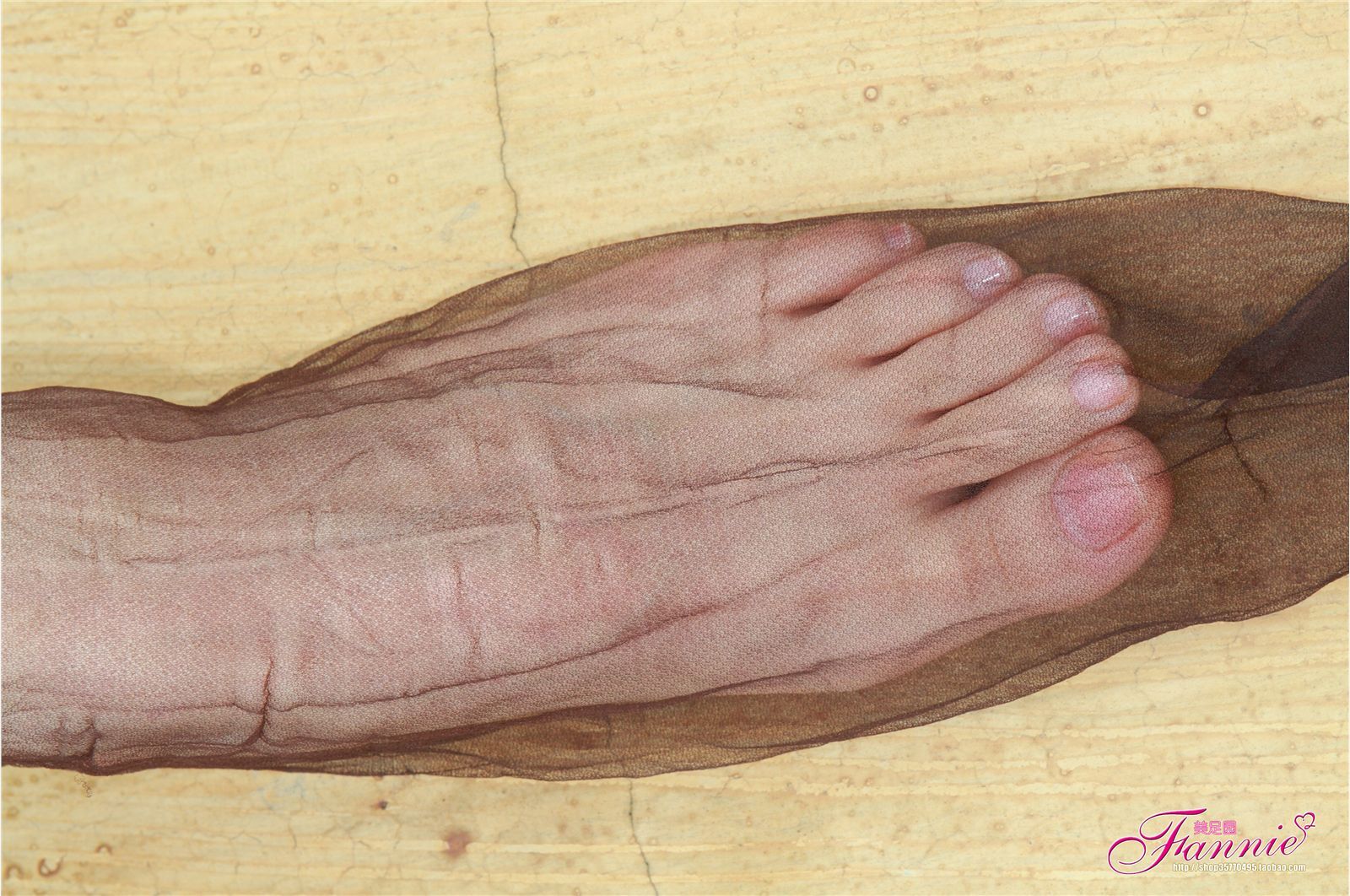 Fannie芬妮高清原图之薄如蝉翼轻若烟（咖啡纯丝）NO.037