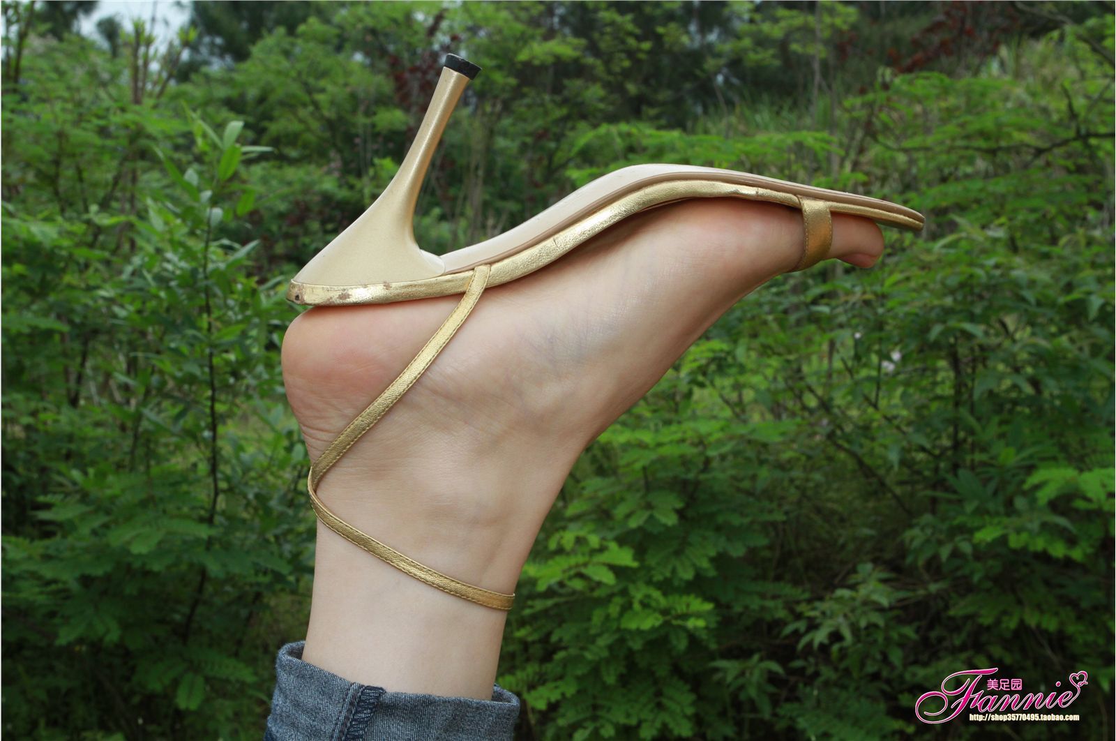 Fannie芬妮高清原图之薄施粉彩（金色旋律）NO.043