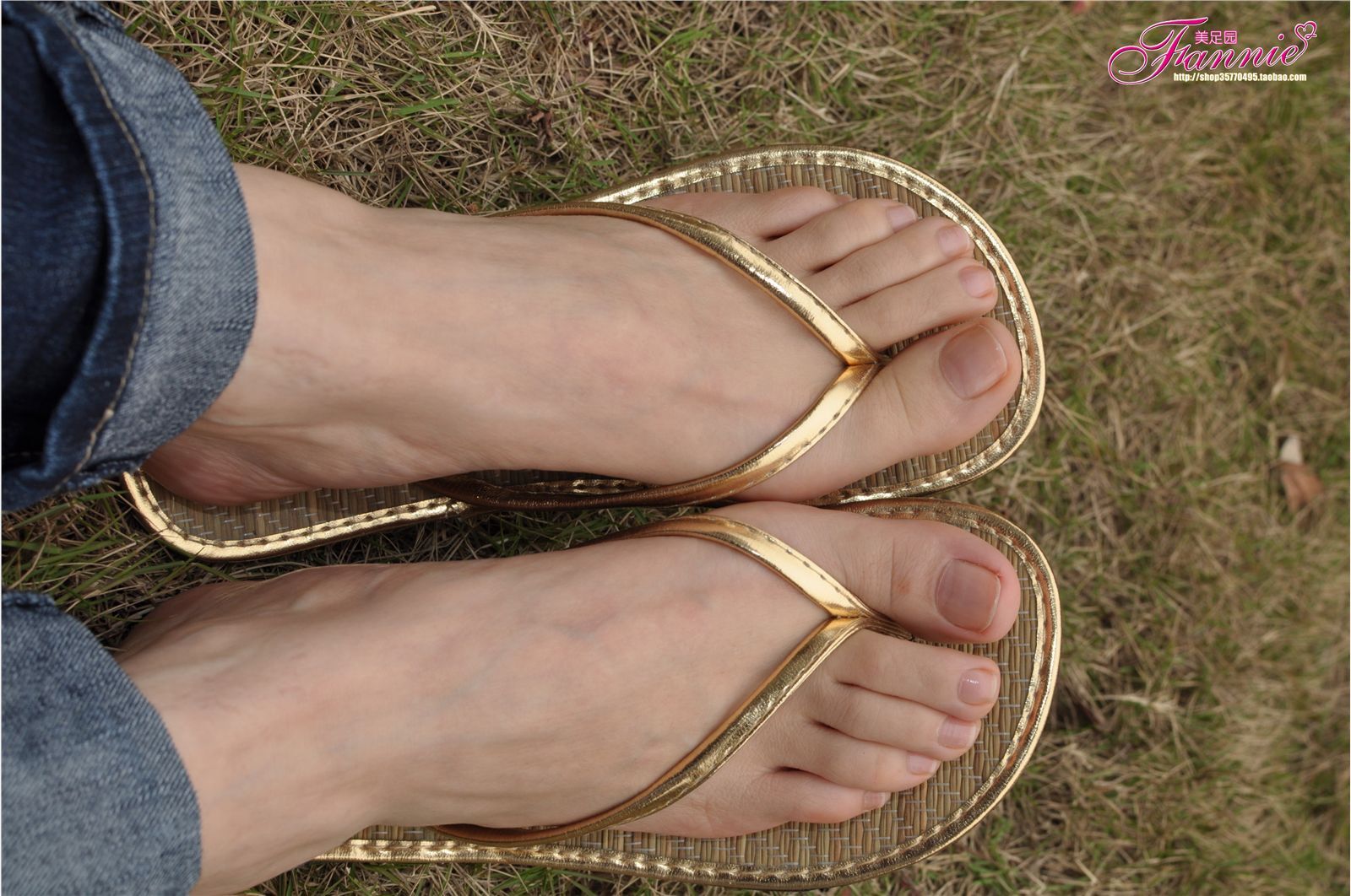 Fannie芬妮高清原图之彩虹糖的梦（金色）NO.044