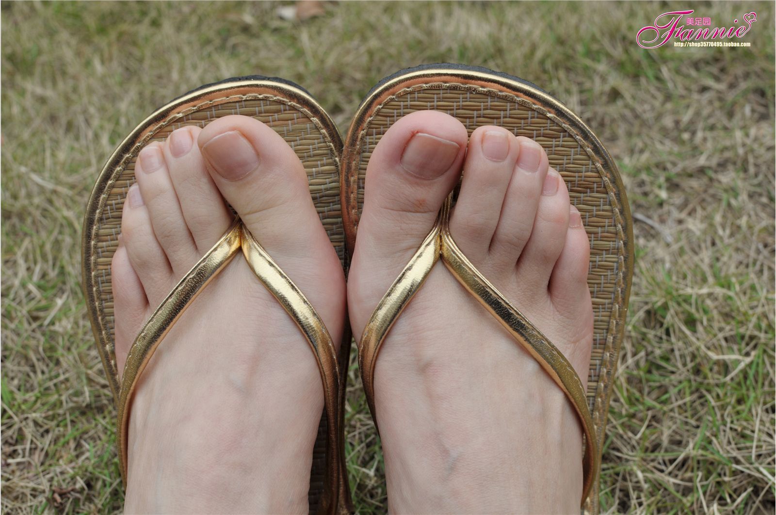 Fannie芬妮高清原图之彩虹糖的梦（金色）NO.044