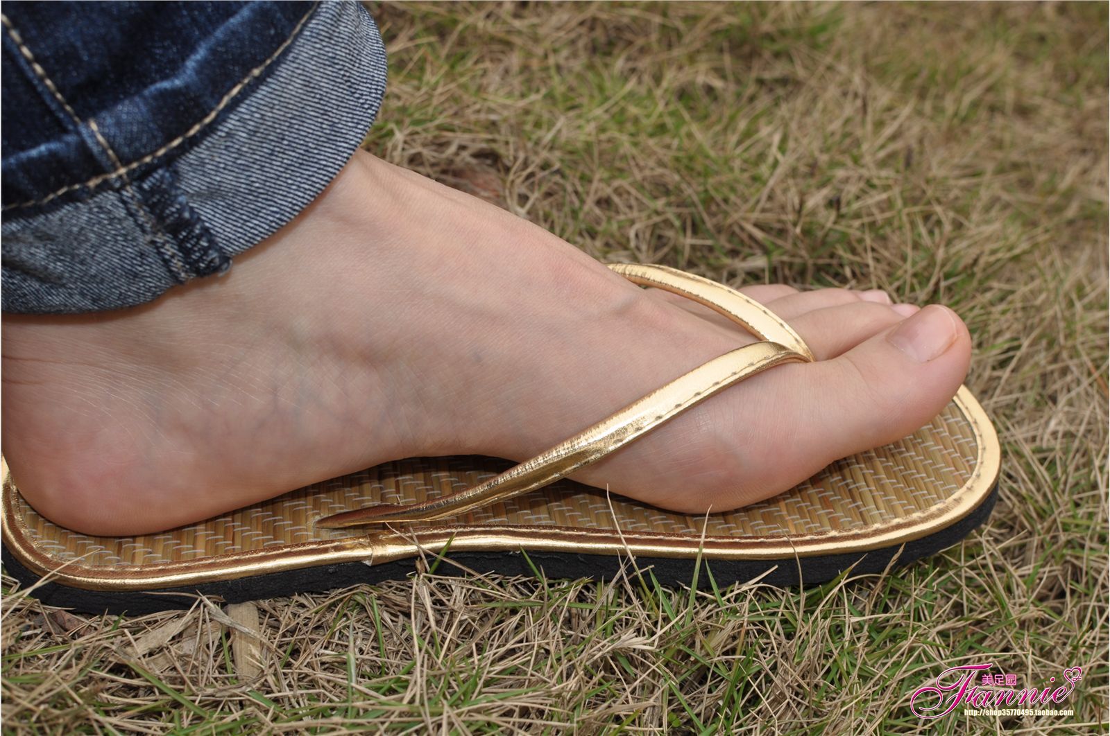 Fannie芬妮高清原图之彩虹糖的梦（金色）NO.044