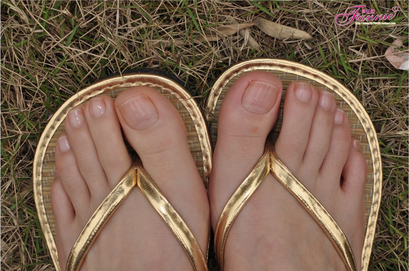 Fannie芬妮高清原图之彩虹糖的梦（金色）NO.044