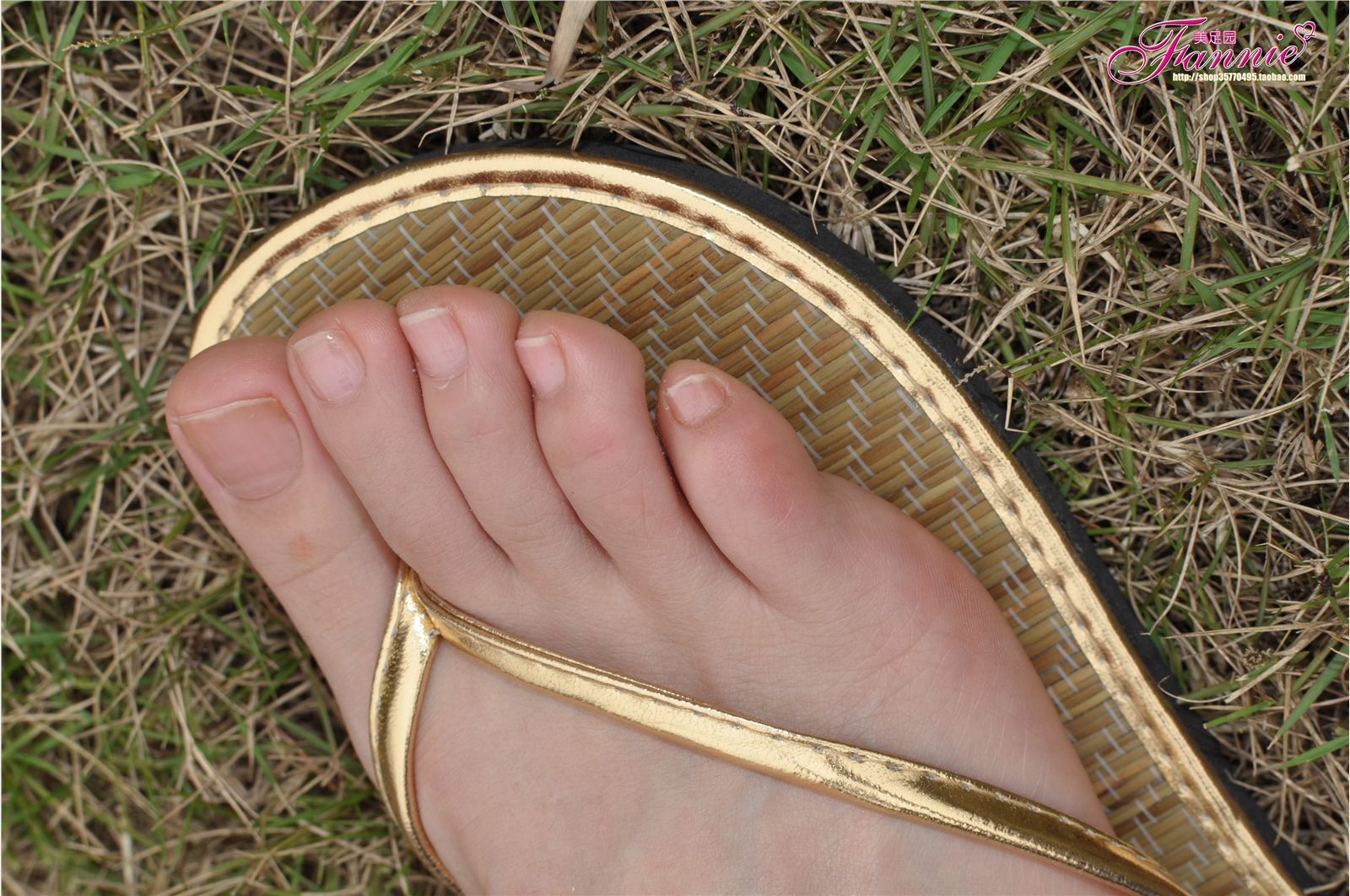 Fannie芬妮高清原图之彩虹糖的梦（金色）NO.044