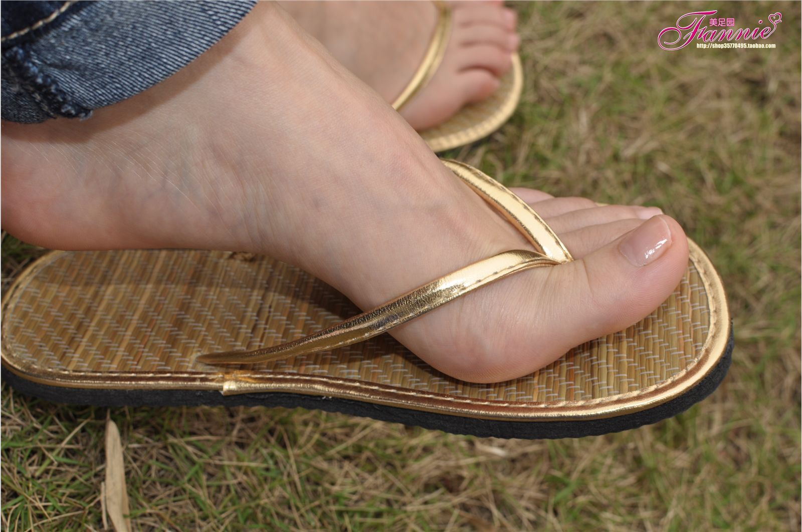 Fannie芬妮高清原图之彩虹糖的梦（金色）NO.044