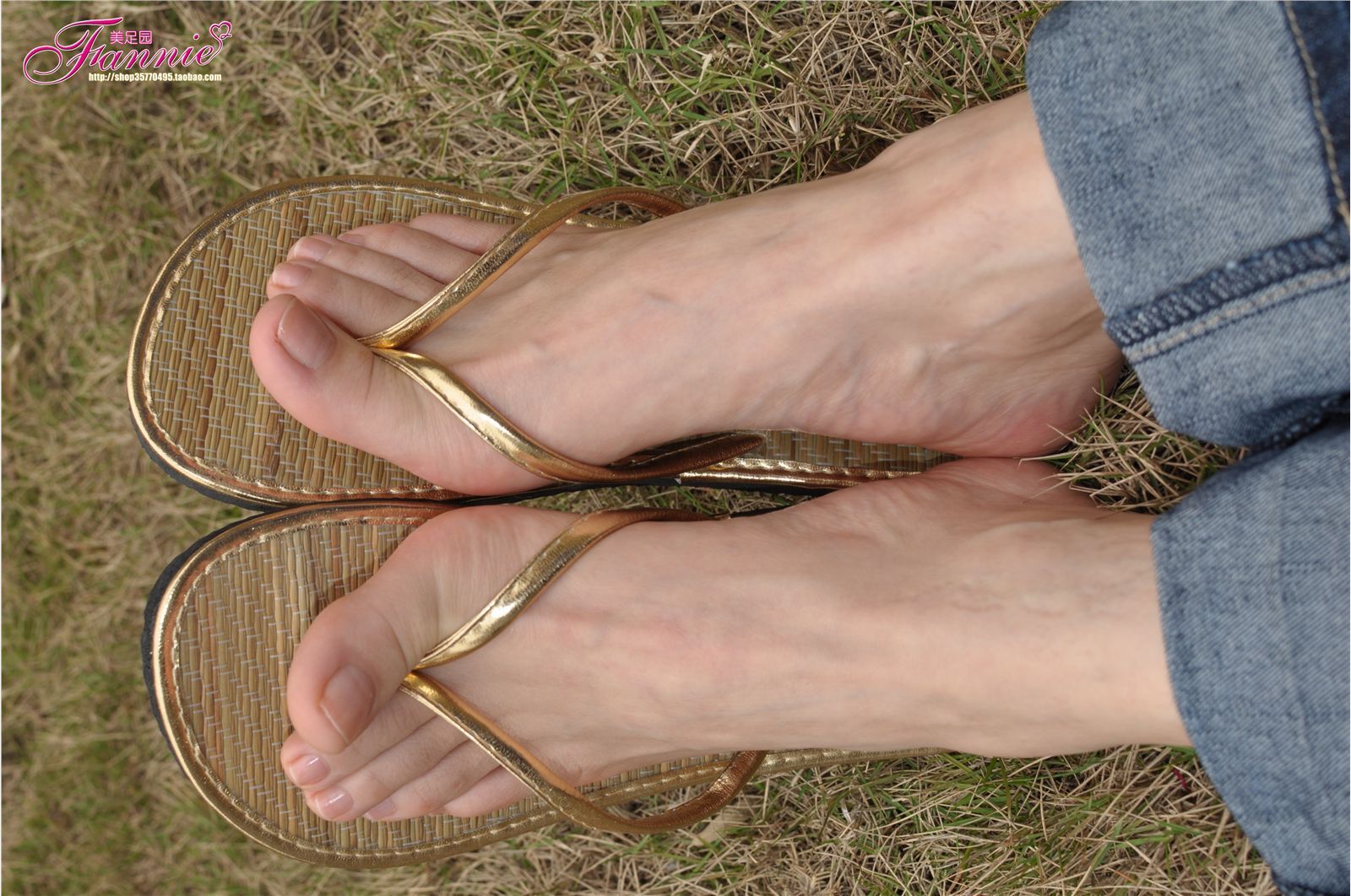 Fannie芬妮高清原图之彩虹糖的梦（金色）NO.044