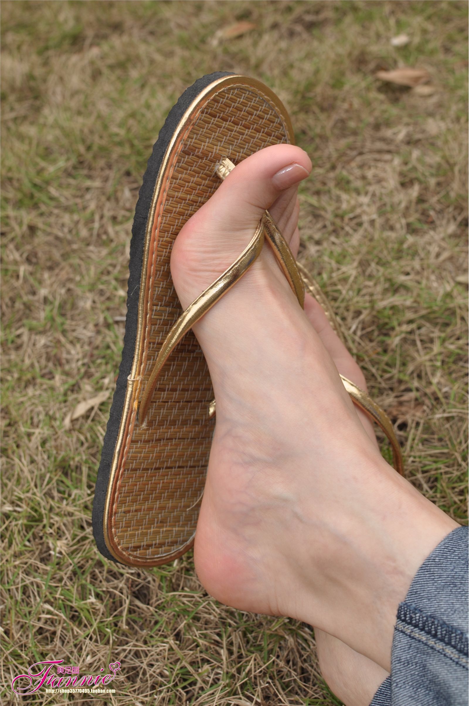 Fannie芬妮高清原图之彩虹糖的梦（金色）NO.044