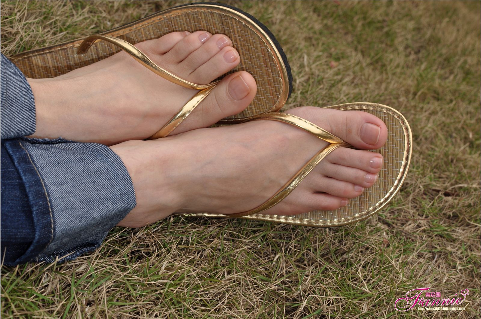 Fannie芬妮高清原图之彩虹糖的梦（金色）NO.044