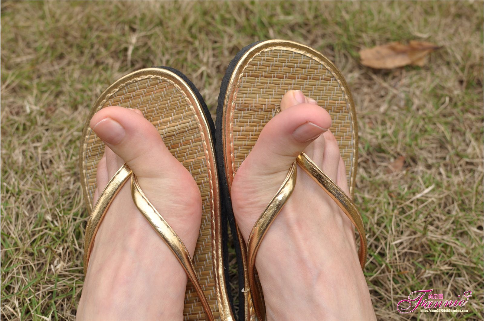 Fannie芬妮高清原图之彩虹糖的梦（金色）NO.044