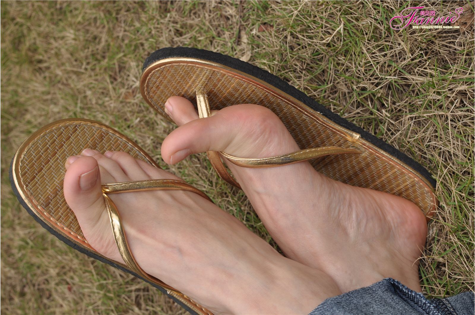 Fannie芬妮高清原图之彩虹糖的梦（金色）NO.044