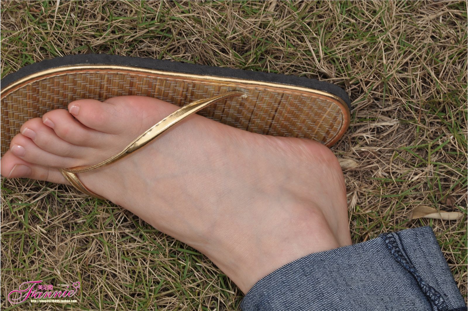 Fannie芬妮高清原图之彩虹糖的梦（金色）NO.044