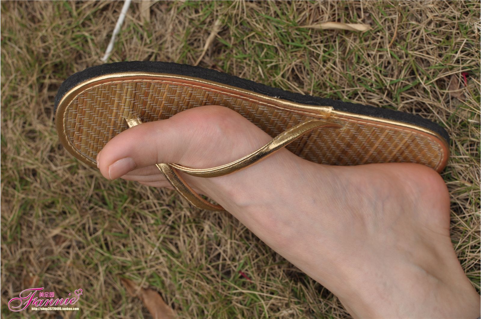 Fannie芬妮高清原图之彩虹糖的梦（金色）NO.044