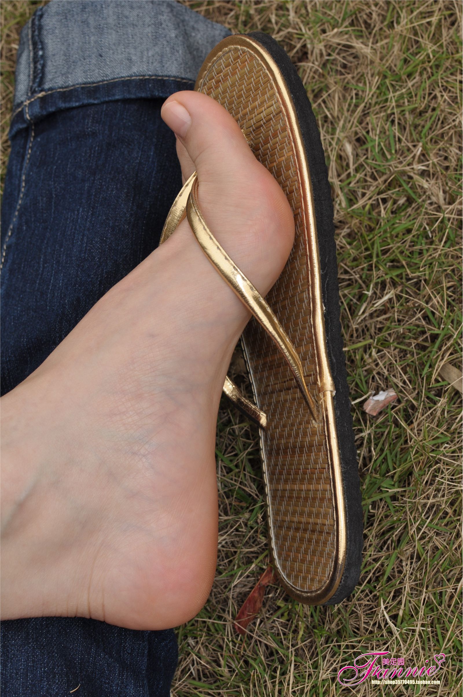 Fannie芬妮高清原图之彩虹糖的梦（金色）NO.044