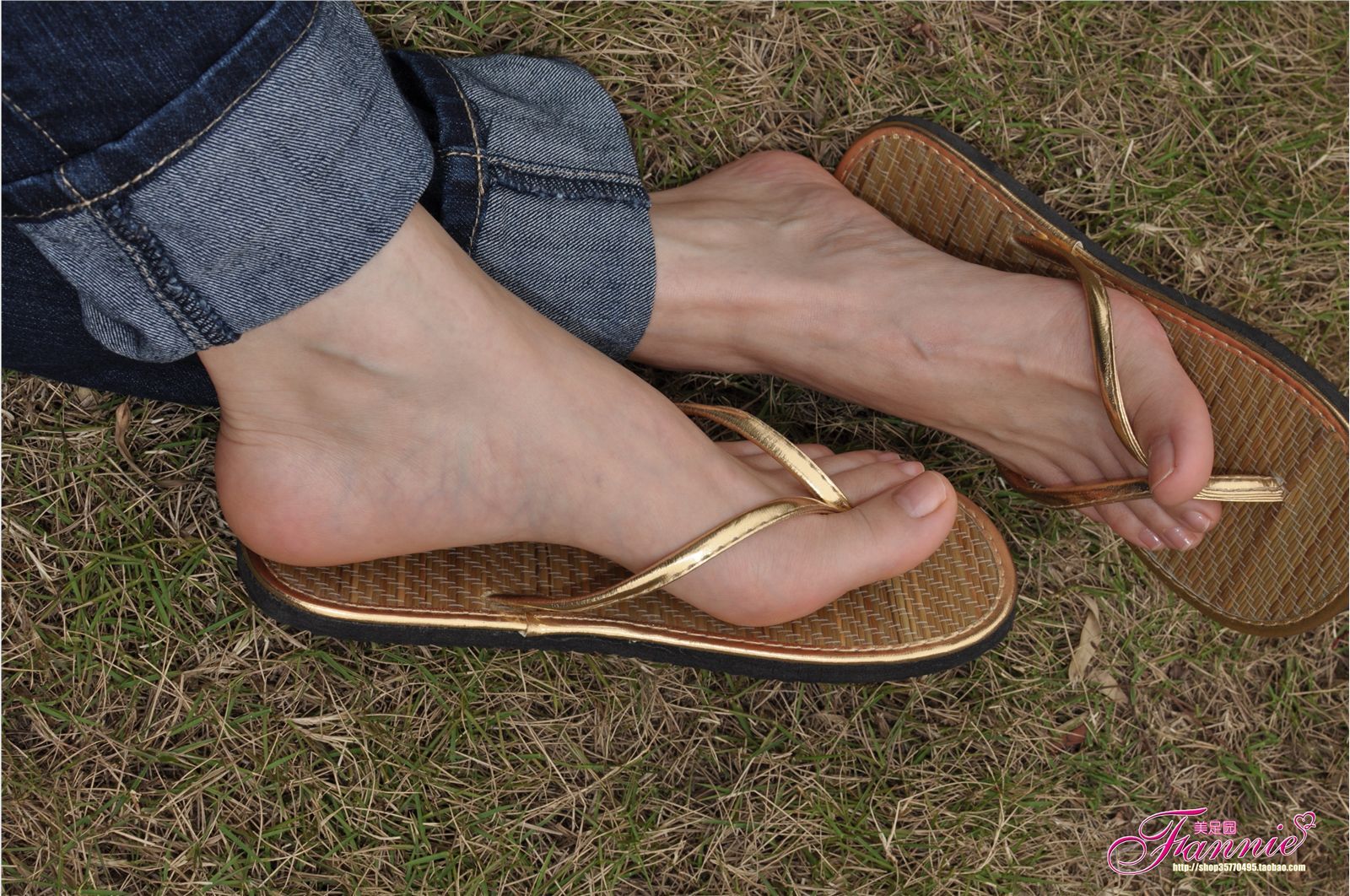 Fannie芬妮高清原图之彩虹糖的梦（金色）NO.044