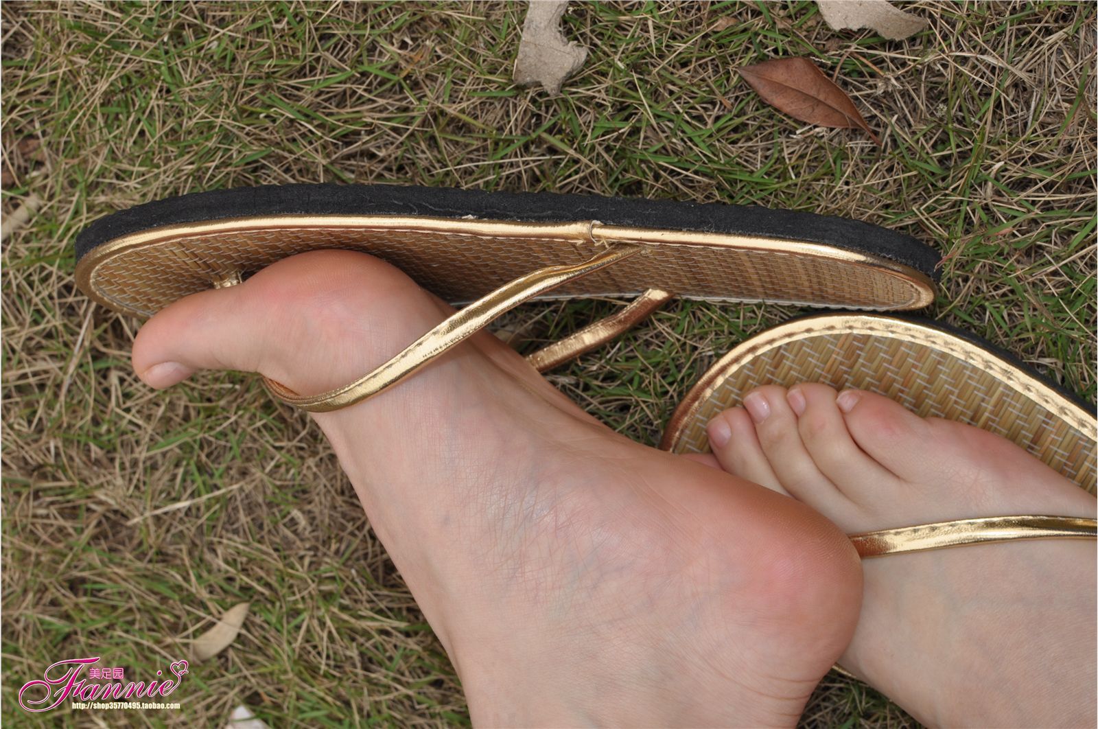 Fannie芬妮高清原图之彩虹糖的梦（金色）NO.044