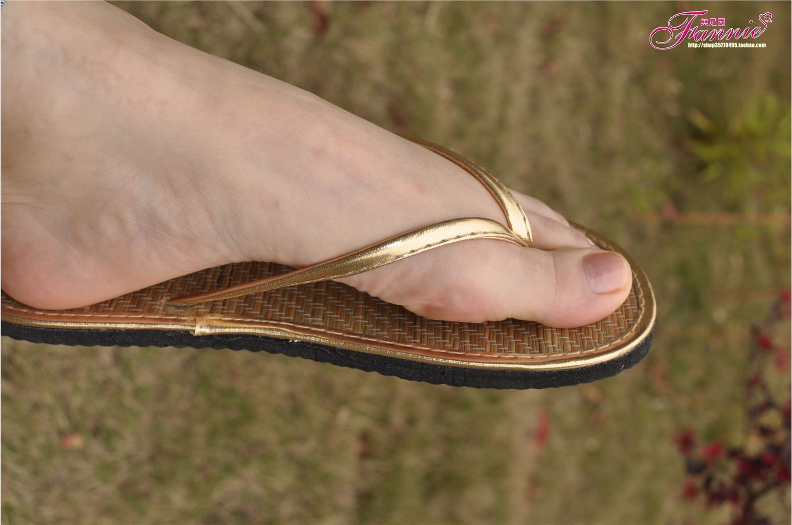 Fannie芬妮高清原图之彩虹糖的梦（金色）NO.044