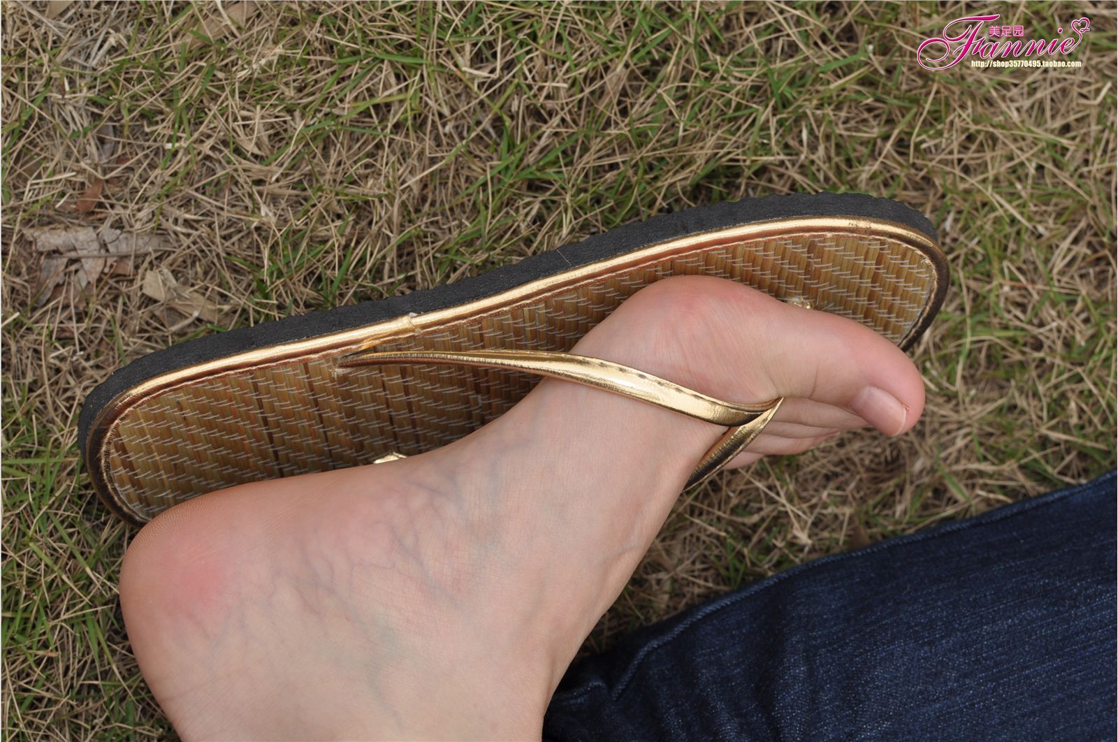 Fannie芬妮高清原图之彩虹糖的梦（金色）NO.044