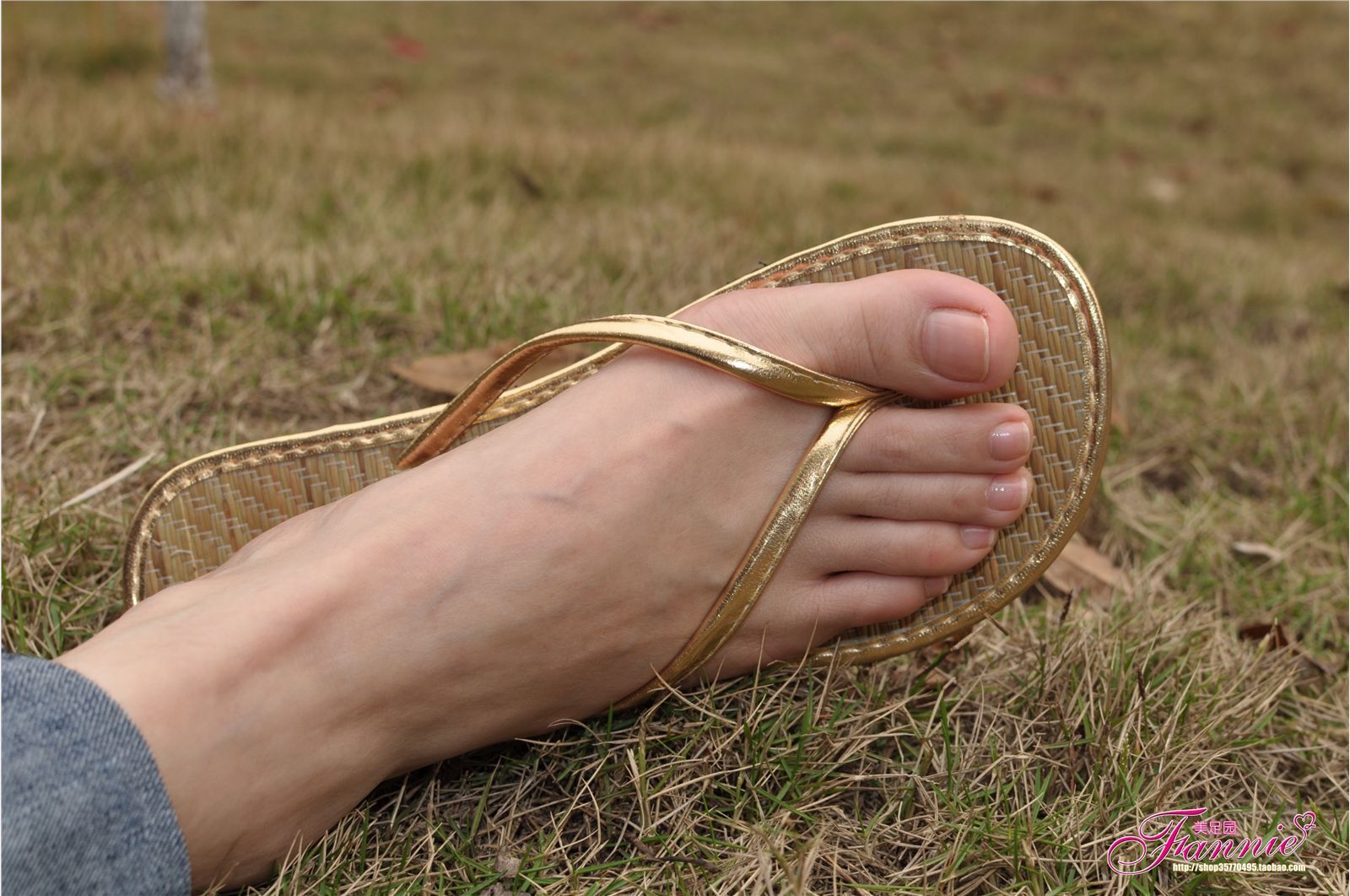 Fannie芬妮高清原图之彩虹糖的梦（金色）NO.044